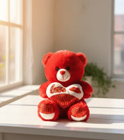 Red Love Teddy Bear with Heart Cushion